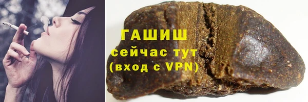 гидра Вяземский