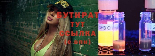 гидра Вяземский