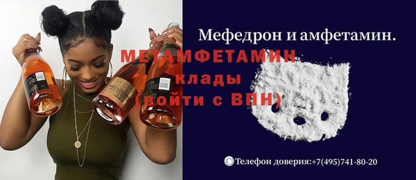 гидра Вяземский