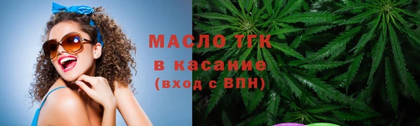 гидра Вяземский