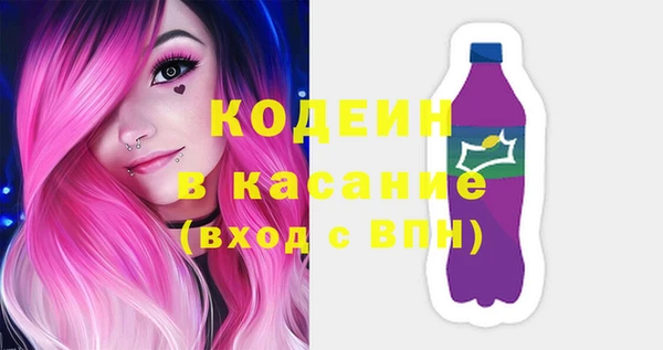 гидра Вяземский