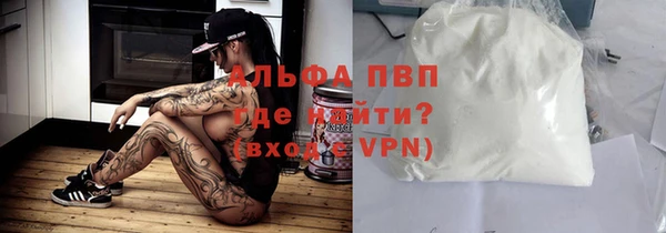 гидра Вяземский