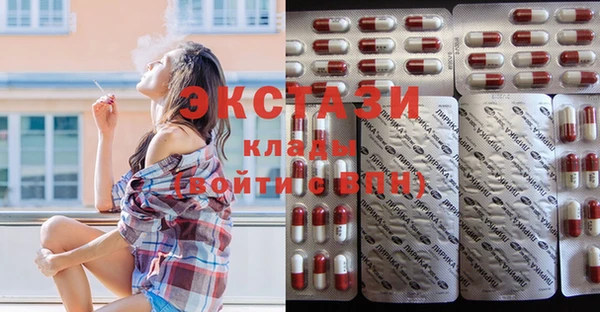 гидра Вяземский
