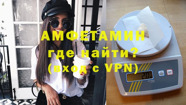гидра Вяземский