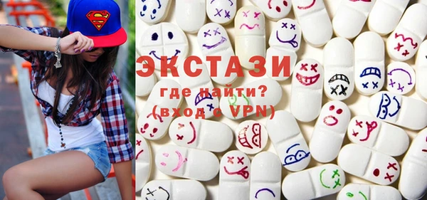 гидра Вяземский