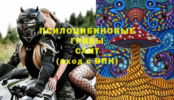 гидра Вяземский
